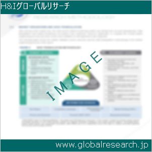 グローバルリサーチ調査レポートのイメージ